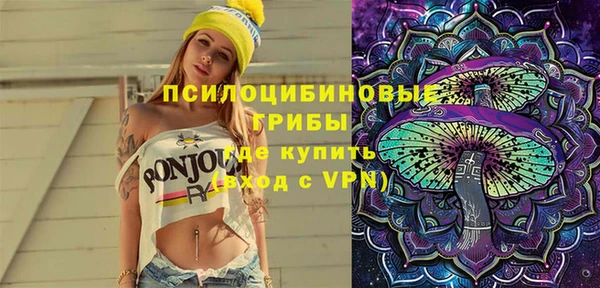 мет Пересвет