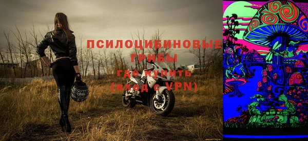 мет Пересвет