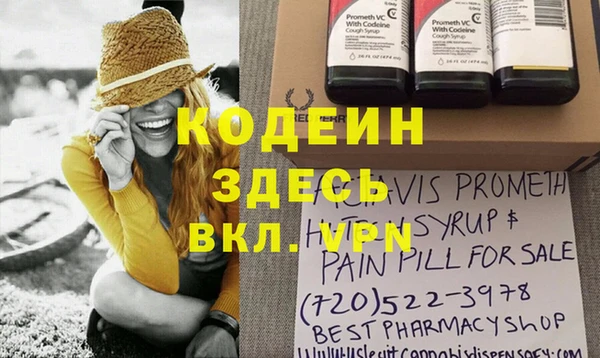 прущие грибы Тында