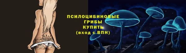 дурь Переславль-Залесский