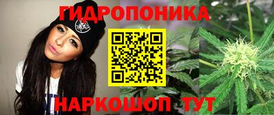 герыч Тула