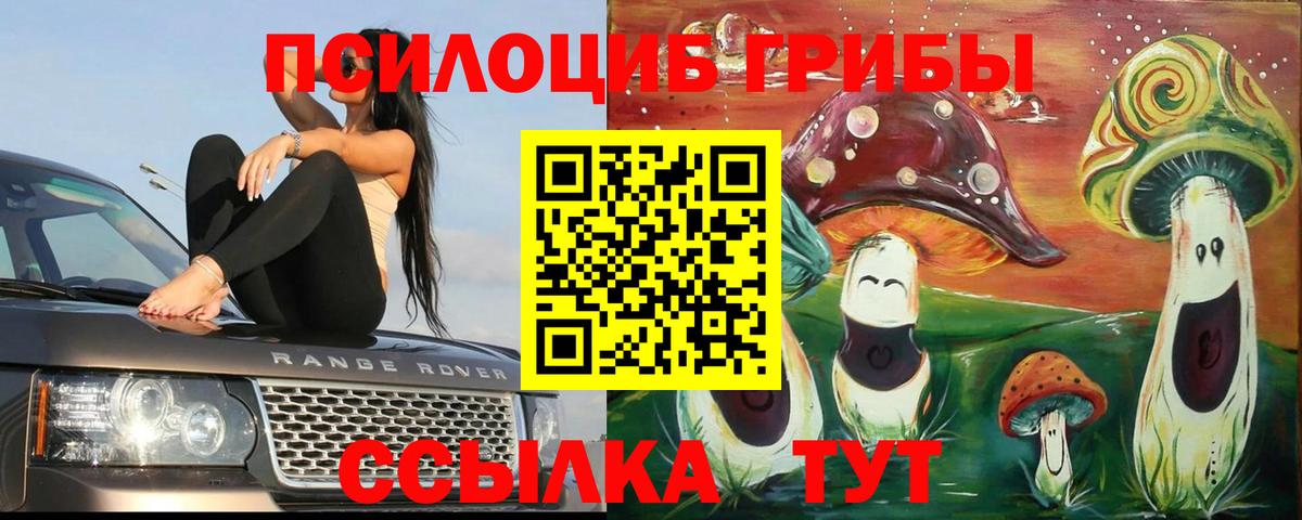 Галлюциногенные грибы Psilocybine cubensis Прокопьевск