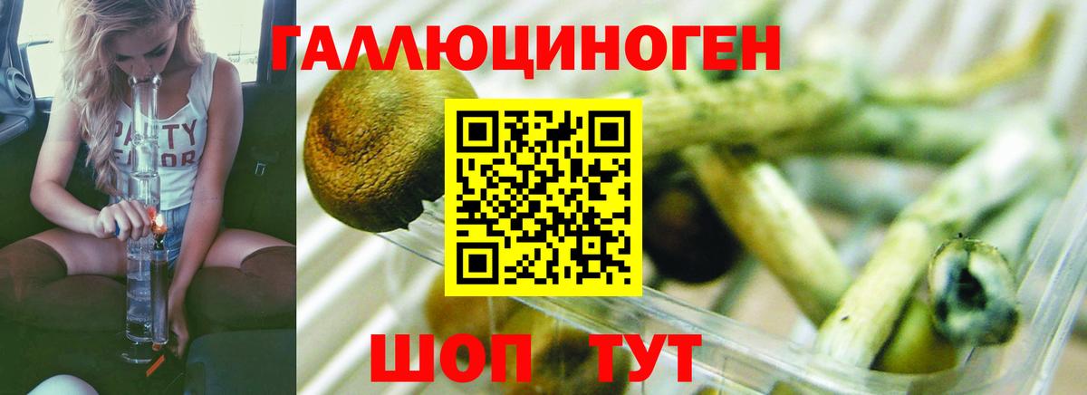Галлюциногенные грибы GOLDEN TEACHER  Галлюциногенные грибы мицелий  Вход с VPN  Прокопьевск 